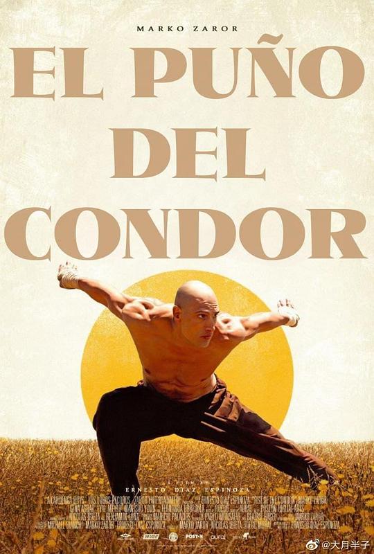 雕形拳 El Puño del Cóndor