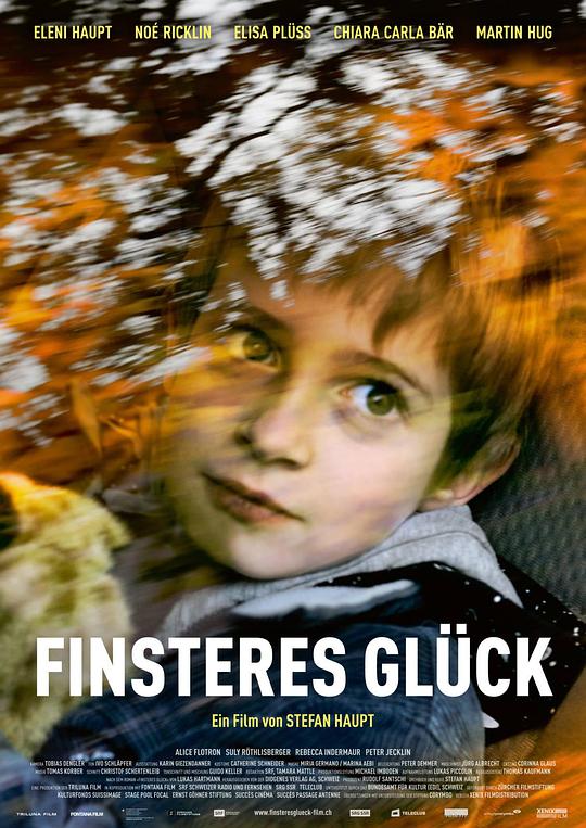 险恶的运气 Finsteres Glück